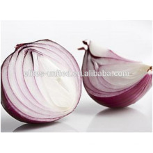 Pure Red Onion Price ton